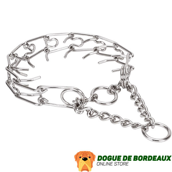 Stainless steel dog pinch collar for large dogs