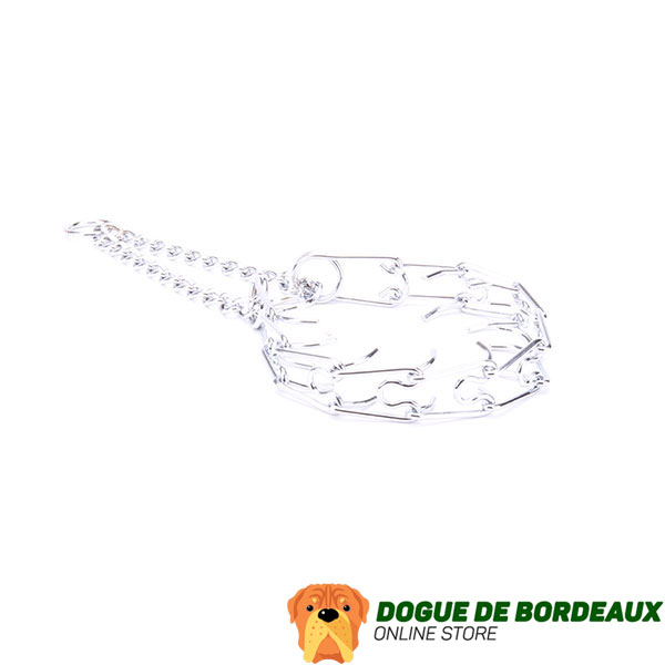 Chrome plated dog prong collar for badly behaved dogs