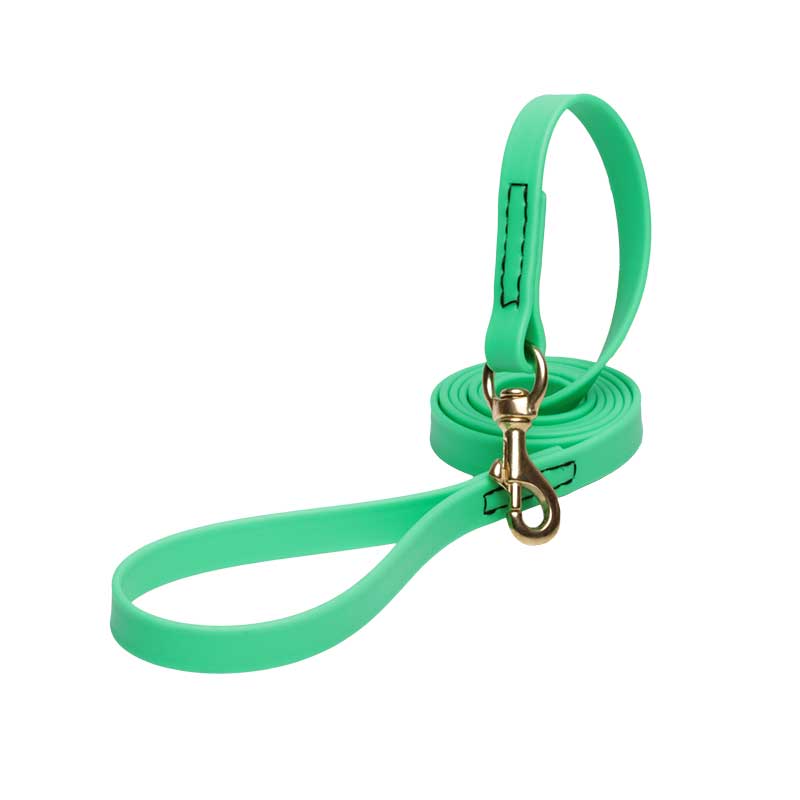 Green Waterproof Dogue de Bordeaux Leash Made of Biothane