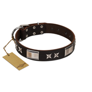 "Satin Beauts" FDT Artisan Brown Leather Dogue de Bordeaux Collar with Stars and Plates