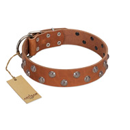 "Waltz of the Flowers" Handmade FDT Artisan Tan Leather Dogue de Bordeaux Collar with Chrome-plated Engraved Studs