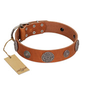 "Foxy Nature" FDT Artisan Tan Leather Dogue de Bordeaux Collar with Chrome Plated Brooches