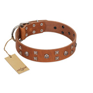 "Enchanted Skulls" FDT Artisan Tan Leather Dogue de Bordeaux Collar with Chrome Plated Skulls