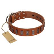 "Silver Century" Fashionable FDT Artisan Tan Leather Dogue de Bordeaux Collar with Silver-Like Plates