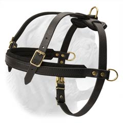 Light Weight Leather Dog Harness for Training and Walking Dogue de Bordeaux