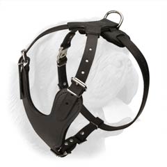 Quality Leather Dogue de Bordeaux Breed Harness for Heavy Duty Work