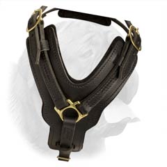 Durable Dog Harness with Y-shaped Chest Plate for Dog Training and Walking of Luxury Design