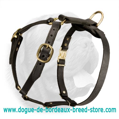 Leatheradil™ Perfect Fit Leather Dog Harness – GSD Colony