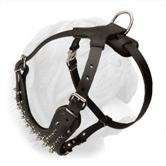 Durable Leather Dog Harness with Y-Shaped Chest Plate and Silver Color Spikes