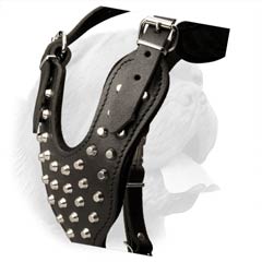Full Grain Leather Dog Harness with Silver Pyramids