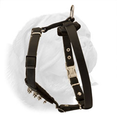 Extreme comfort leather harness