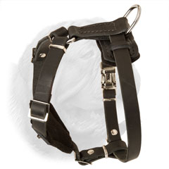 Extreme comfort leather harness