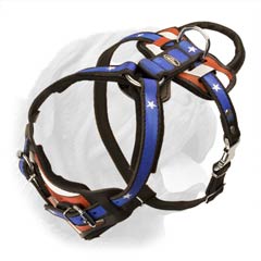 Heavy Duty Training Dog Harness for Dogue de Bordeaux Breed