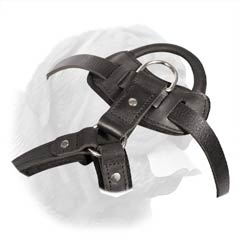 Training Leather Harness of Enhanced Comfort for Serious Dog Training