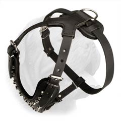 Genuine Leather Dog Harness for Dogue de Bordeaux with Silver Color Pyramids