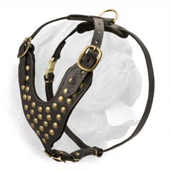 Heavy Duty Quality Decorative Dogue de Bordeaux Harness with Studs