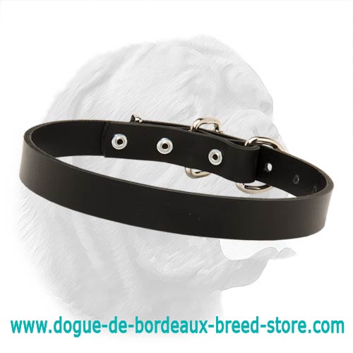 1 Inch Wide Leather Dogue de Bordeaux Collar with Buckle - Click Image to Close