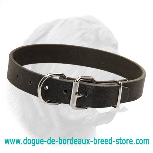 Plain Design Dogue de Bordeaux Collar Made of Full Grain Leather - Click Image to Close
