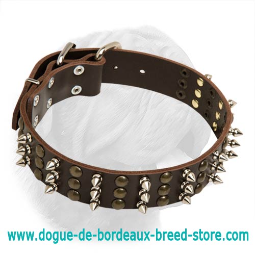 Dogue de Bordeaux Extra Wide Leather Buckle Collar with Interchanging Columns of Spikes and Studs