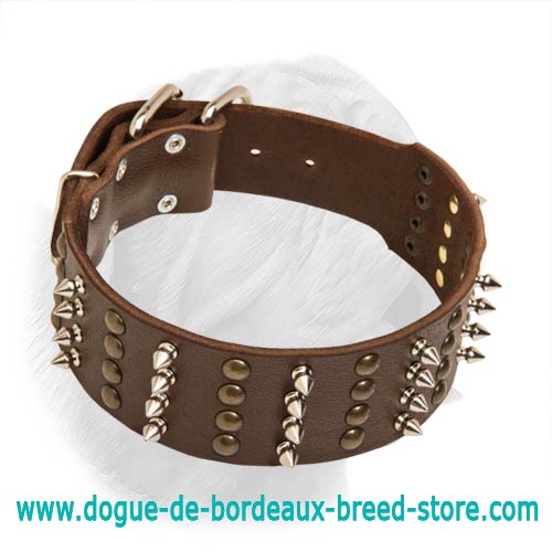 Extra Wide Leather Collar for Dogue de Bordeaux with Spikes and Studs - Click Image to Close