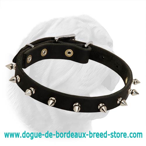Dogue de Bordeaux Refined Shape Leather Collar with Buckle and Nickel Plated Spikes