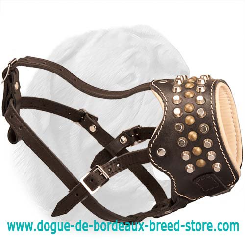 Leather Muzzle with Pyramids and Round Brass Studs