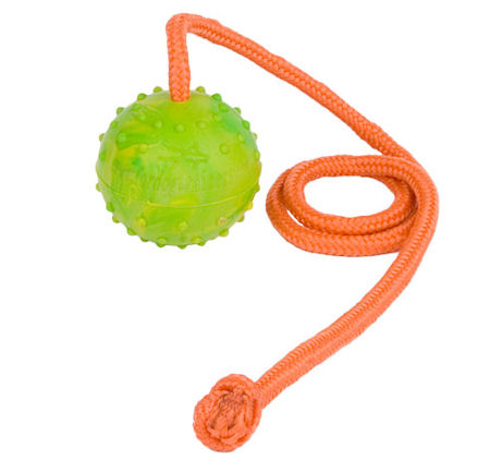 Solid Dog Training Ball on String 2 1/3 inch (6 cm) in Diameter - Medium - Click Image to Close
