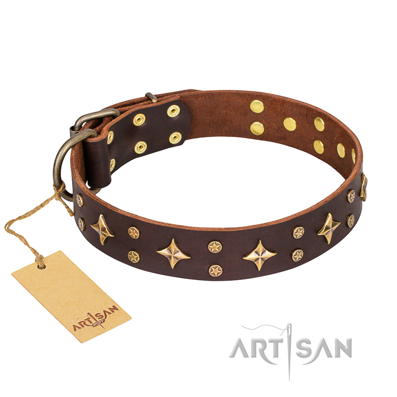 'High Fashion' FDT Artisan Embellished Brown Leather Dogue de Bordeux Collar