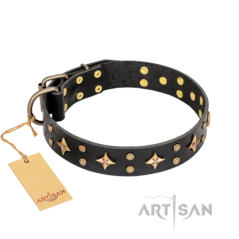 'A La Mode' FDT Artisan Handcrafted Black Leather Dogue de Bordeaux Collar