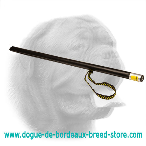 Incredible Dogue de Bordeaux Training Agitation Stick