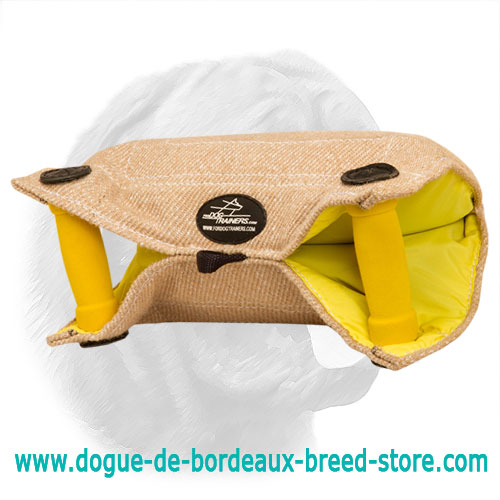 Jute Dogue de Bordeaux Puppy Bite Builder