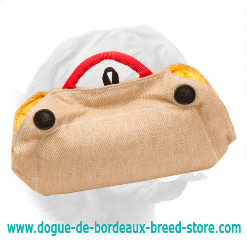 New Puppy and Young Dogue de Bordeaux Bite Builder Made of Jute