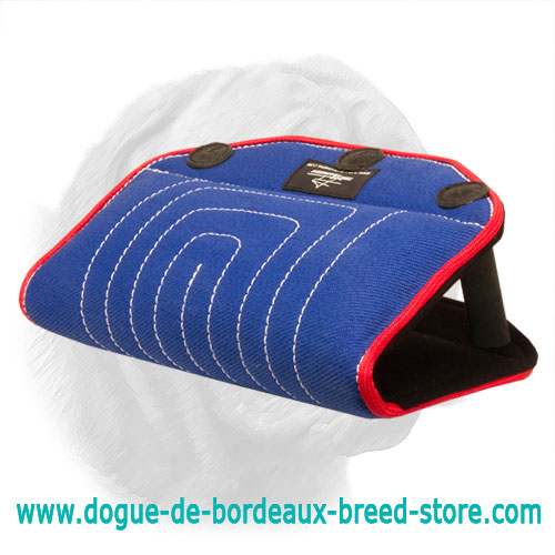 Reliable French Linen Bite Builder for Dogue de Bordeaux Puppies and Young Dogs