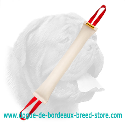 Super Large Dogue de Bordeaux Fire Hose Bite Tug