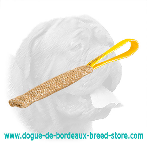 Excellent Dogue de Bordeaux Puppy Jute Bite Tug