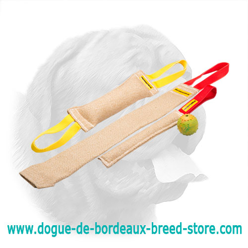 Set of Jute Bite Tugs for Dogue de Bordeaux Puppy Training