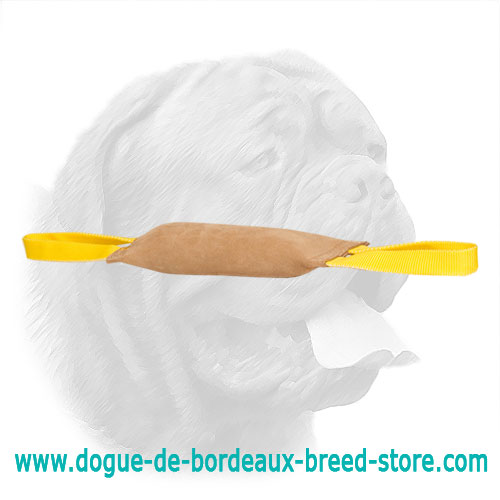 Well-Stuffed Leather Dogue de Bordeaux Bite Tug