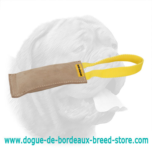 Excellent Leather Bite Tug for Dogue de Bordeaux