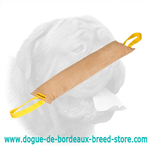 Enormous Dogue de Bordeaux Leather Bite Tug