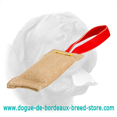 Hypoallergenic Jute Bite Tug for Dogue de Bordeaux Puppy Training