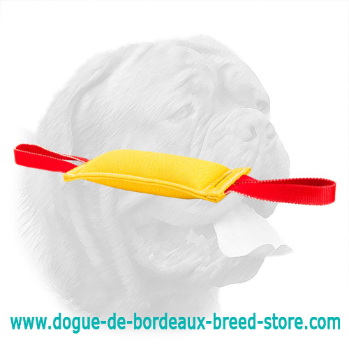 Sturdy French Linen Bite Tug for Dogue de Bordeaux Puppies