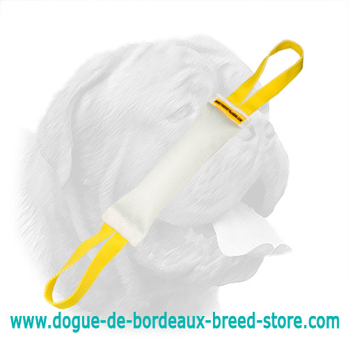 Fire Hose Dogue de Bordeaux Bite Tug With 2 Handles
