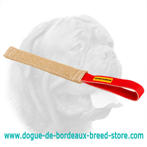 Jute Pocket Bite Tug for Dogue de Bordeaux