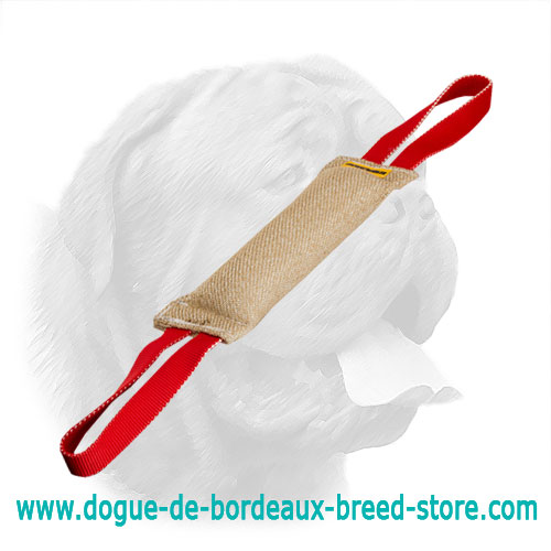 Hypoallergenic Jute Bite Tug for Dogue de Bordeaux Training