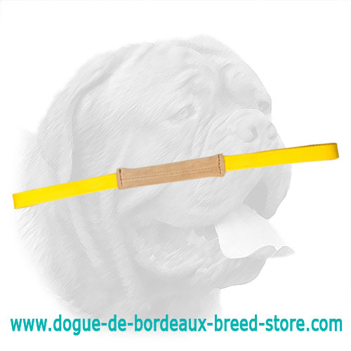 Fabulous Leather Bite Tug for Dogue de Bordeaux Puppies - Click Image to Close
