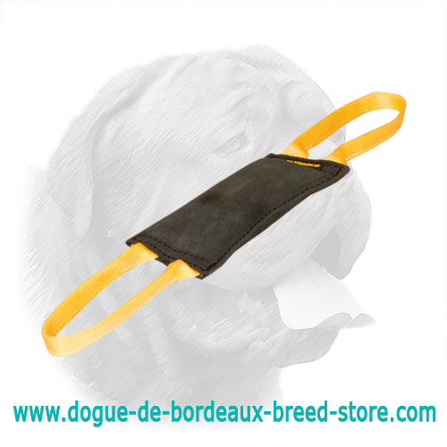 Splendid Leather Bite Tug for Young Dogue de Bordeaux Training