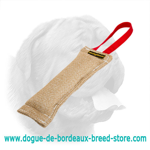 Dependable Jute Bite Tag for Dogue de Bordeaux Puppy Training