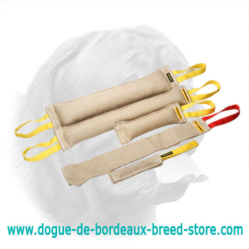 Superior Jute Training Set for Dogue de Bordeaux