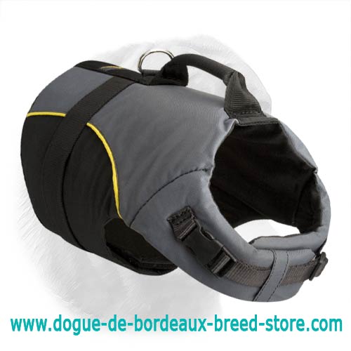 All-Weather - Rehabilitation Dog Vest Harness for Dogue de Bordeaux Needs