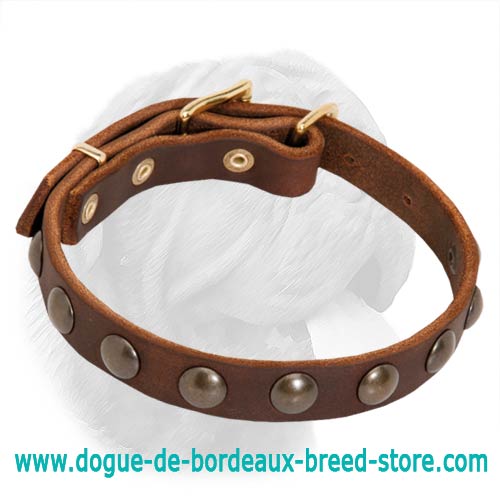 Trendy Dogue de Bordeaux Leather Collar with Brass Adornment
